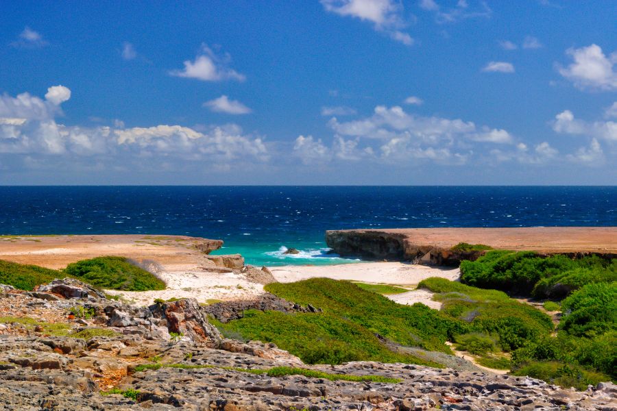 Top 10 Attractions Every First-Timer Should Visit in Aruba Island